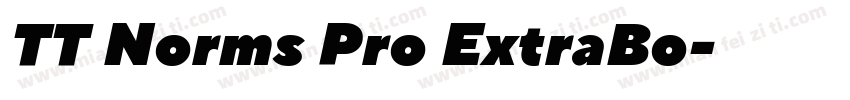 TT Norms Pro ExtraBo字体转换